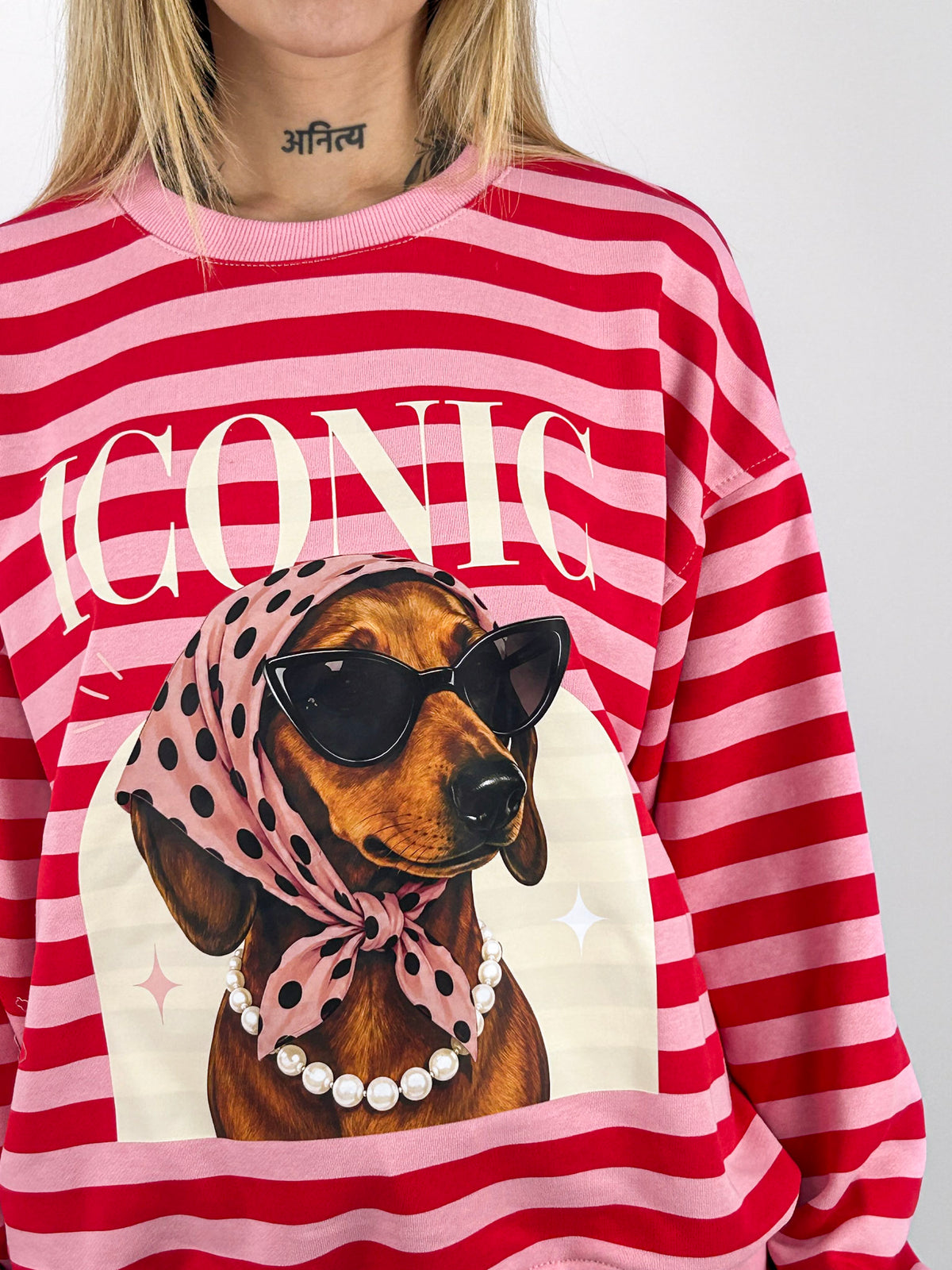 Felpa Iconic donna a righe con stampa bassotto rosa - vista dettaglio